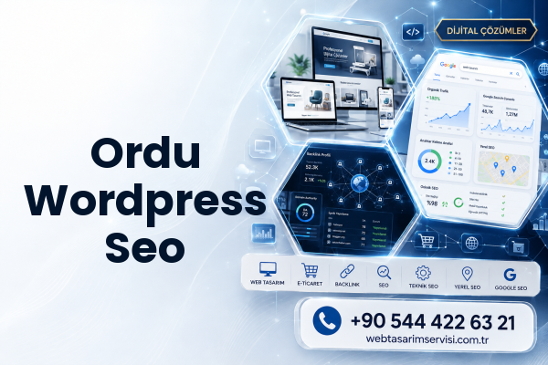 Ordu Wordpress Seo